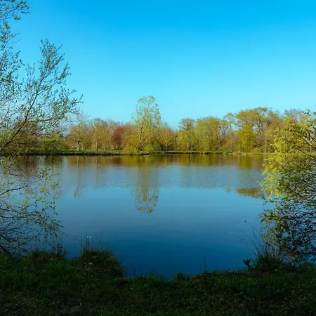 Vakantiehuis 15 Pers Piscine Nature Dombes *