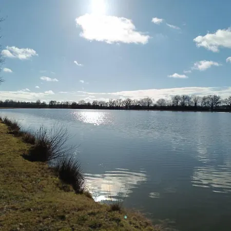 15 Pers Piscine Nature Dombes Vakantiehuis *